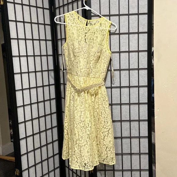 Eliza J | Dresses | Eliza J Lace Dress With Belt Size 6 | Poshmark